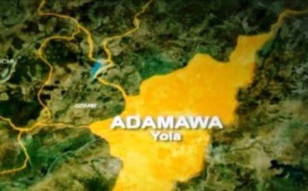 Strange Disease Hits Adamawa as Over 20 Persons Infected With Flesh-eating Disease