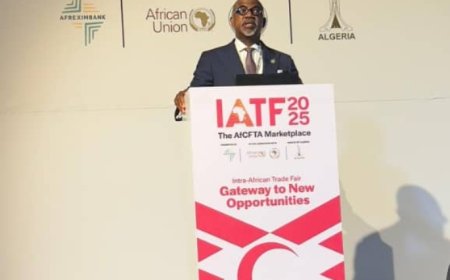 Ogun is Nigeria's Top Investment Destination, Gov Abiodun Tells AfCFTA Panel in Algiers