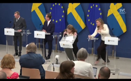 Confusion as Sweden’s Health Minister, Elisabet Lann, Collapses During Press Conference, Lands at Hospital