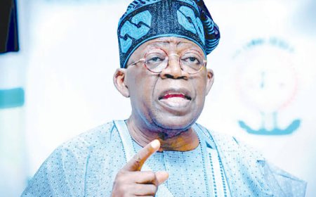 Tinubu Orders FEC Committee to Crash Food Prices as Economic Hardship Hits High
