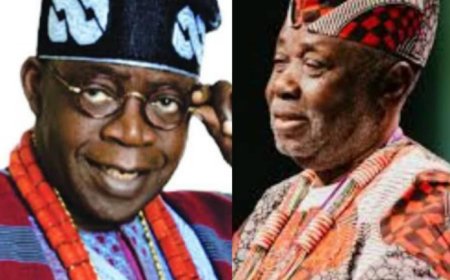 'A Professor's Monthly Pay is What My Gardener Earns in 3 Hours', Prof Abimbola Laments, Cautions Government to Rescue Nigerian Universities from Imminent Collapse