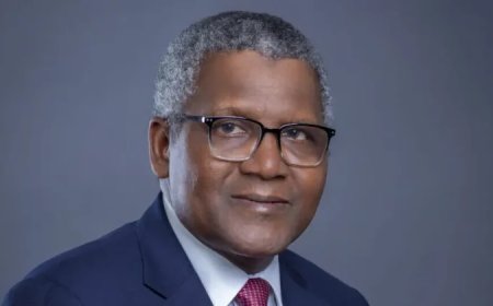 'Nigeria is Not An Easy Country for Investors Who Are Afraid of Going Through Hell on Earth' Says Aliko Dangote