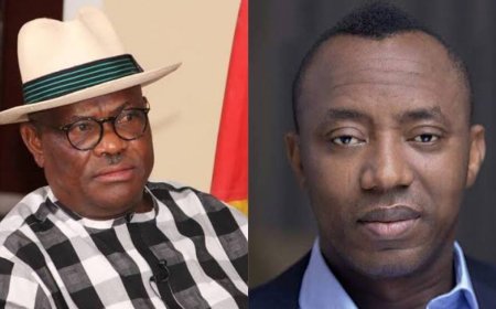 "You Are Lucky You Have a President Who Believes in The Rule of Law" - Wike Blows Hot, Blasts Sowore For Calling Tinubu "Criminal"