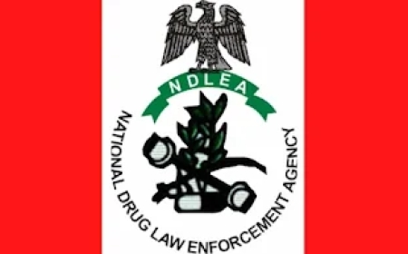 Confusion as NDLEA Commander Found Dead in Hotel Room