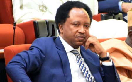 Shehu Sani Urges FG to Replace LG ‘Chairman’ Title with ‘Mayor’, Gives Reason