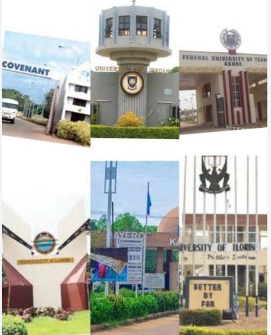 Boiling Point Arena Set to Take Nigerian University System to the X-Ray Room With Prof. Wande Abimbola on the Hot Seat