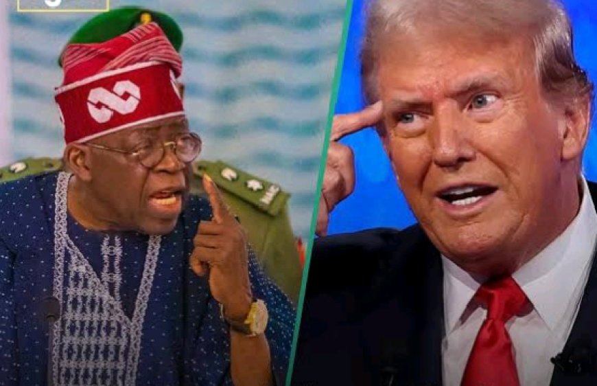 Trump Cuts U.S. Imports of Nigerian Goods by 41% as Tinubu’s Trade Policy Faces Strain