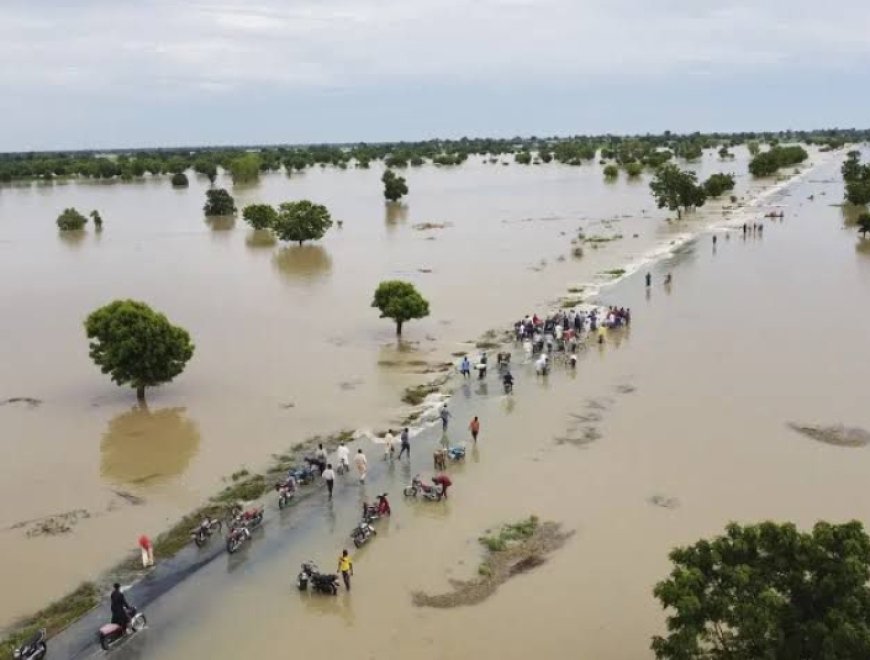 Ogun Govt Issues Flood Alert as Heavy Rainfall Looms, Deploys Multi-pronged Flood Management Strategies 