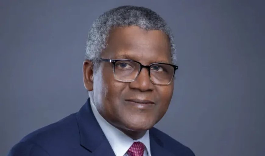 'Nigeria is Not An Easy Country for Investors Who Are Afraid of Going Through Hell on Earth' Says Aliko Dangote
