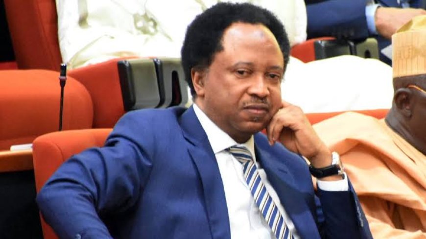 Shehu Sani Urges FG to Replace LG ‘Chairman’ Title with ‘Mayor’, Gives Reason