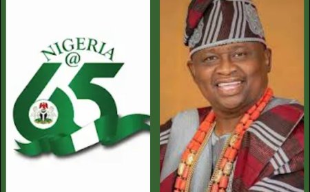 Hurray Our Dear Nation is 65!' - Senator Solomon Olamilekan Adeola Celebrates Nigeria at 65
