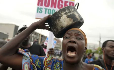 Food Insecurity: Two in Eleven Nigerians Face Daily Hunger, Experts Warn