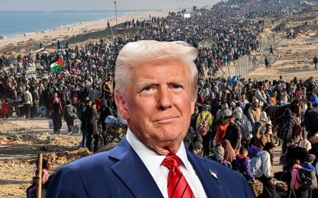 Trump Tells Israel to Halt Gaza Bombing After Hamas Agrees to Free Hostages Under U.S. Peace Plan