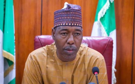 Governor Blames Military Inaction as Boko Haram Seizes Borno Border Town