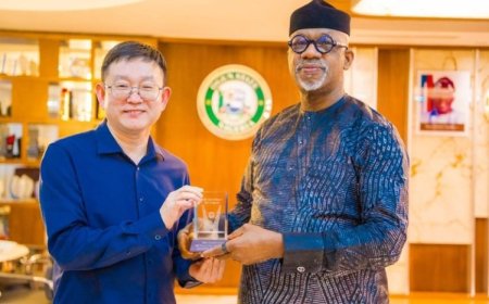 Dapo Abiodun Attracts Power Generation Plant, Industrial Park Investments By Chinese Firm to Ogun