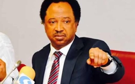 Nnaji's Certificates Controversy: Secondary School Certificate Enough For Political Office – Shehu Sani