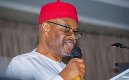 Certificate Forge Scandal: Tinubu Minister, Geoffrey Nnaji Finally Resigns