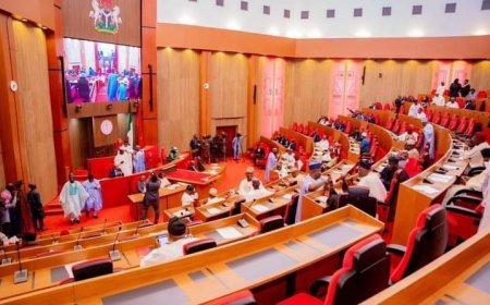 Senate Suspends Debate on New Electoral Act to Allow Wider Consultations