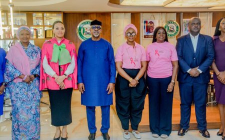 Abiodun Promises Budgetary Support for Cancer Awareness Campaign
