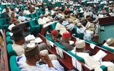 Check and Balance: Bill to Strip President of Power to Sack EFCC Chairman Passes For Second Reading