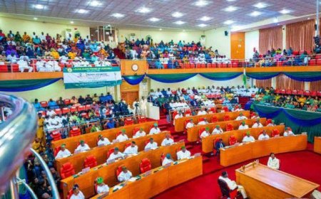 State Creation: 69 Bills Under Review as National Assembly Targets Year-End Amendment