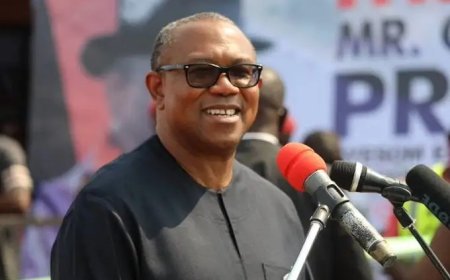 Some Yahoo Boys are Geniuses Who Need Redirection Says Peter Obi