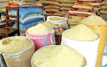 Price of Rice Drops Across Markets as Imports, Local Harvests Boost Supply, Traders Lament