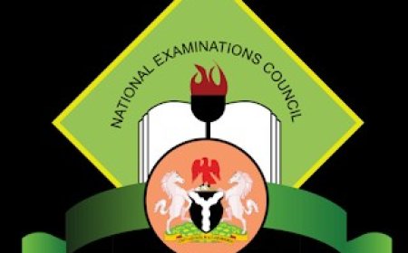 NECO Opens Examination Centre for  Nigerians Abroad