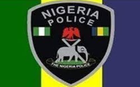 Police Arrests Herbalist, Cousin Who Killed Yahoo Boy in Delta