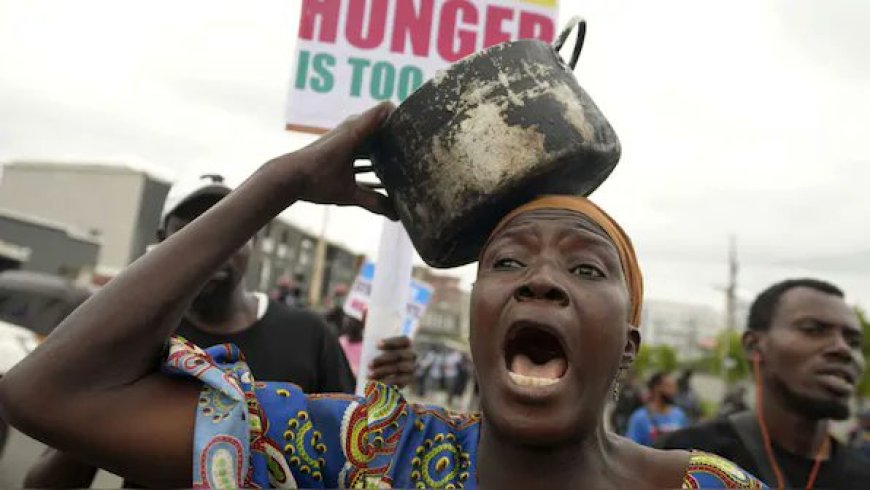 Food Insecurity: Two in Eleven Nigerians Face Daily Hunger, Experts Warn