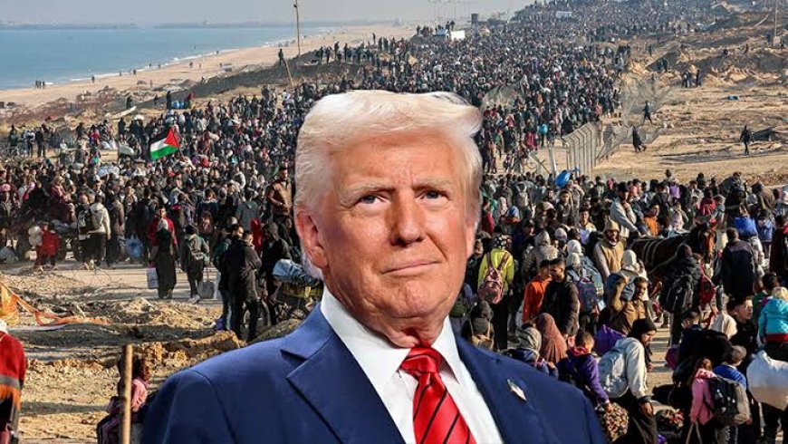 Trump Tells Israel to Halt Gaza Bombing After Hamas Agrees to Free Hostages Under U.S. Peace Plan