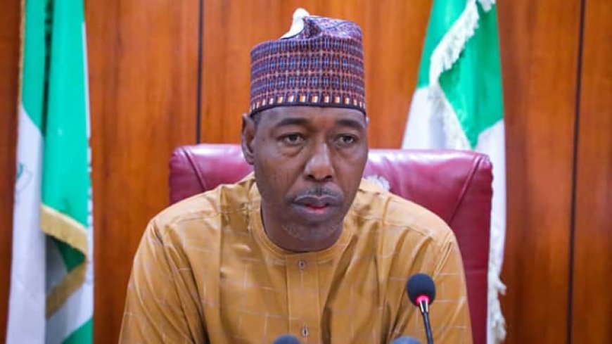 Governor Blames Military Inaction as Boko Haram Seizes Borno Border Town