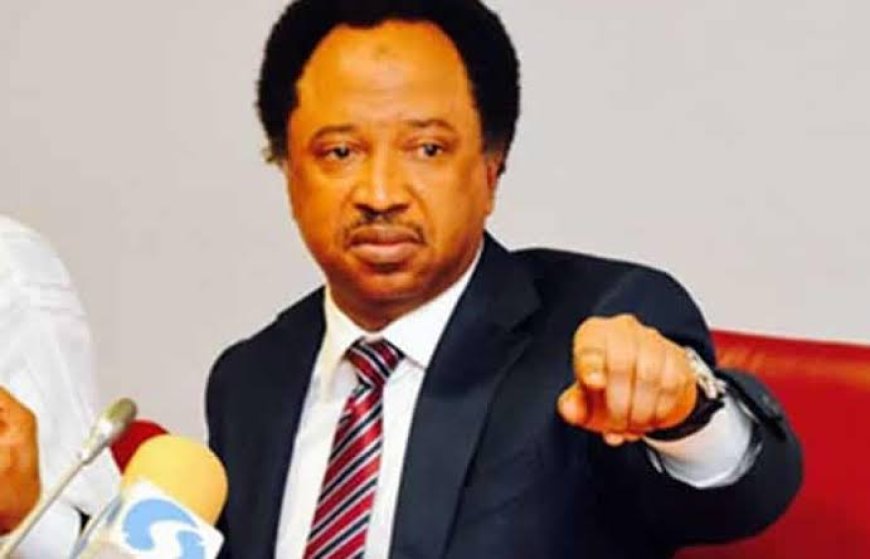 Nnaji's Certificates Controversy: Secondary School Certificate Enough For Political Office – Shehu Sani