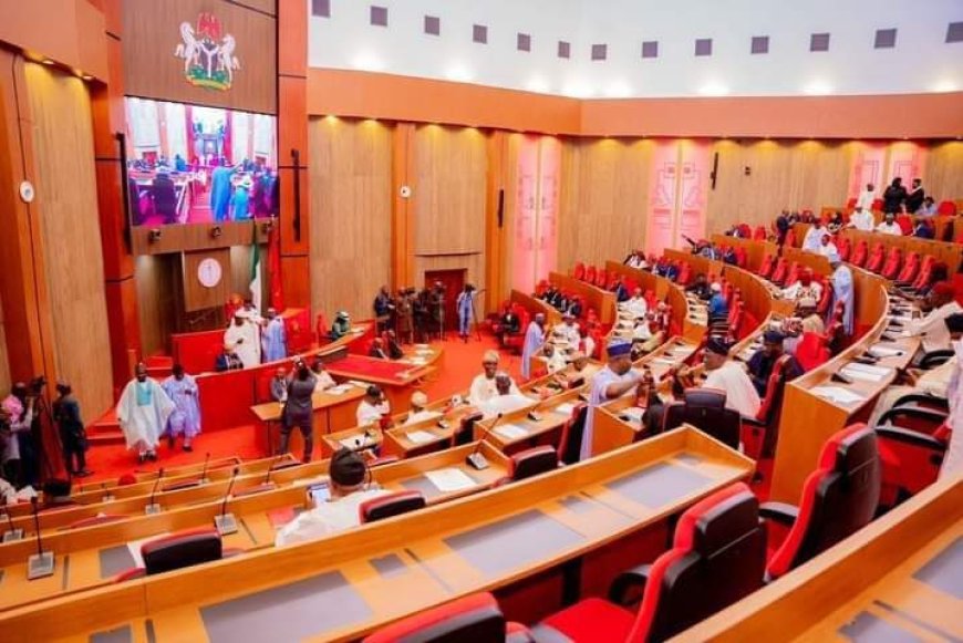 Senate Suspends Debate on New Electoral Act to Allow Wider Consultations