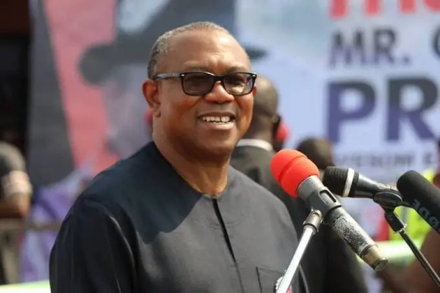Some Yahoo Boys are Geniuses Who Need Redirection Says Peter Obi