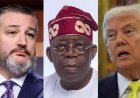 County of Particular Concern: U.S Senator, Ted Cruz Introduces Legislation to Tackle Sharia Law, Blasphemy Law in Nigeria