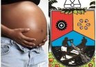 'Impregnate Any Woman Outside Wedlock and Face the Law" Lagos Warns, Sets to Invoke Section 277 of Lagos Criminal Law