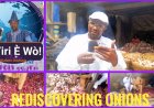 Do You Know Your Onions?: Focus Shifts to Benefits, Myths, Likely Dangers Associated with Onions As Maverick Broadcaster, Orunsola Takes Educational Broadcasting to Another Level