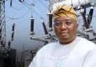 FG Committed To Achieving Stable, Adequate Power Supply — Adelabu