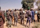 Terrorists Abduct Unidentified Numbers of Students, Tachers from Niger Boarding School in Midnight Attack