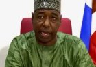 Zulum Declares Statewide Fasting, Prayer in Borno on Monday Over Boko Haram Threats