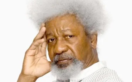 Woke Soyinka Visa Plight Takes New Turn as U.S Embassy Enlightens Him, Says "Visas Are Privilege, Not a Right"