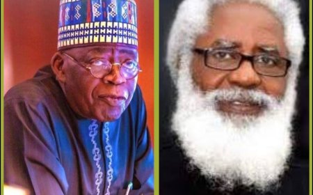 'Avoid Using Propaganda to Fight Insecurity', Ex Nigerian Envoy Counsels Tinubu Not to Visit Trump, Calls for Swift Action Against Insecurity