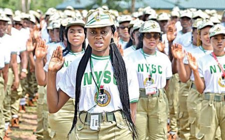 17 Deputy Vice-Chancellors, JAMB Staff Nabbed as Board Uncovers 15,000 Forged Admission Letters for NYSC Mobilisation