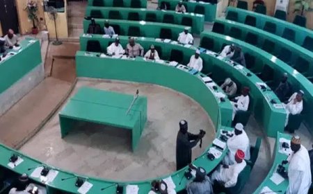Citing China, Japan, India as Examples, Kano Assembly Passes Bill That Makes Hausa Main Language For Teaching in Schools