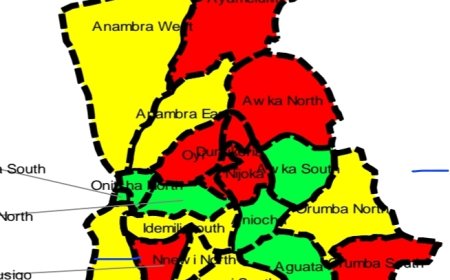 Gunmen Reportedly Kill Councillor During Anambra Gubernatorial Election