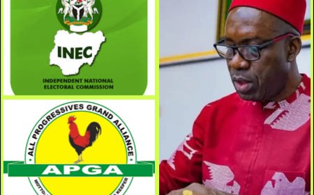 INEC Declares APGA Candidate Soludo Winner of Anambra Gubernatorial Election 