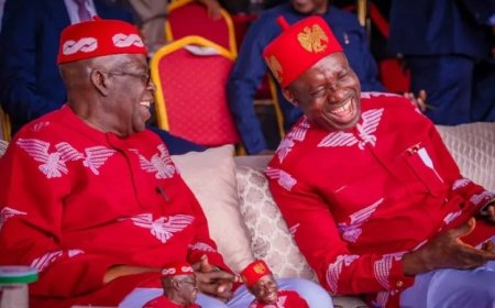 Tinubu Congratulates APGA Candidate Soludo on Anambra Election Victory, Commends INEC for Election Conduct