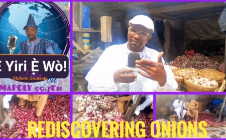 Do You Know Your Onions?: Focus Shifts to Benefits, Myths, Likely Dangers Associated with Onions As Maverick Broadcaster, Orunsola Takes Educational Broadcasting to Another Level