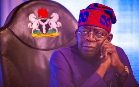 Insecurity, Economy: Nigeria is Lucky to Have Tinubu as President — Presidency